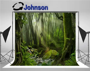 Yağmur Ormanı Ağacı Yeşil Yosun Güneş arka plan Yüksek kaliteli Bilgisayar baskı duvar fotoğraf arka fonu