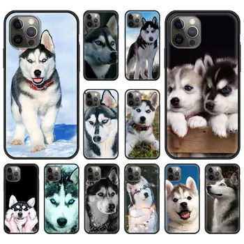 Alaskan Husky Köpek Sevimli Köpek Yavrusu Lüks Telefon Kılıfı İçin iPhone 13 15 14 12 11 Pro MAX XR X SE XS 7 8 Artı Silikon Siyah Mat Kapak